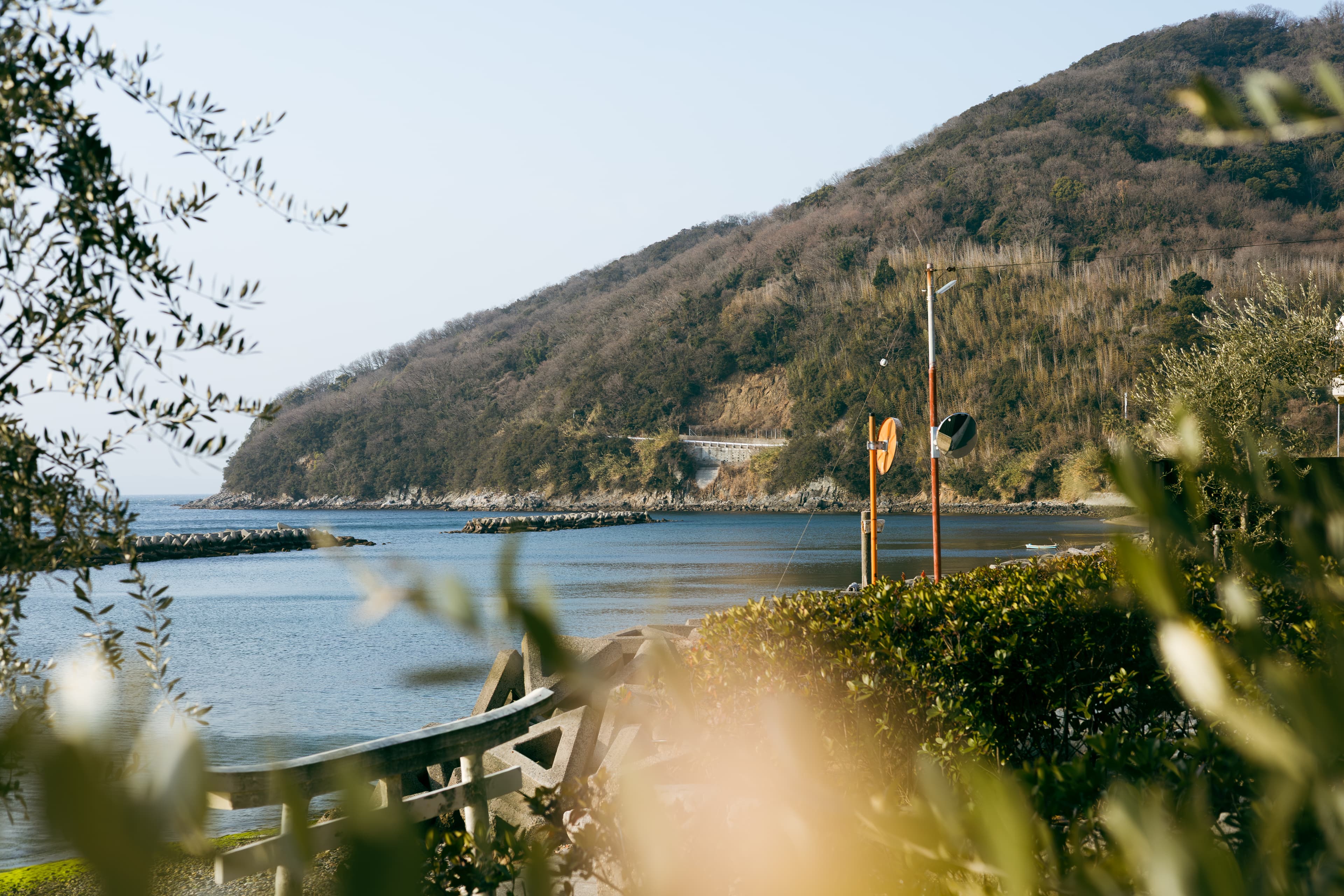 Shodo Island